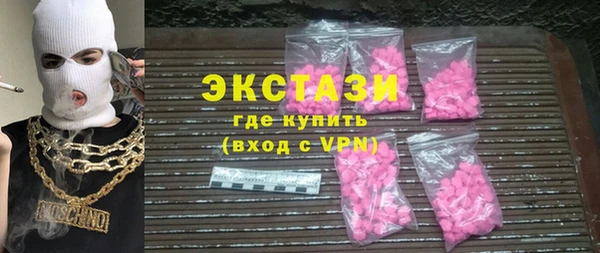 гидра Инта