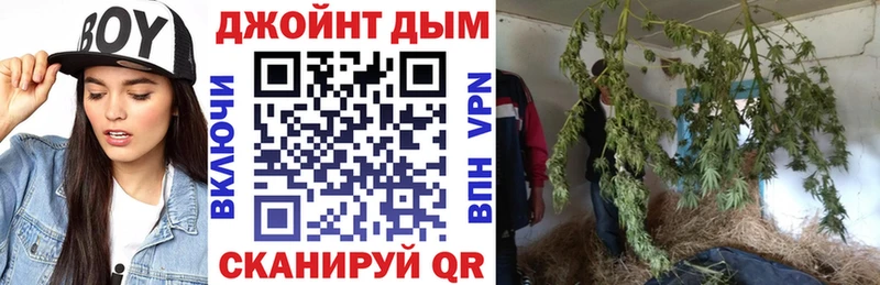 KRAKEN как войти  магазин продажи наркотиков  Зеленокумск  Бошки Шишки гибрид 